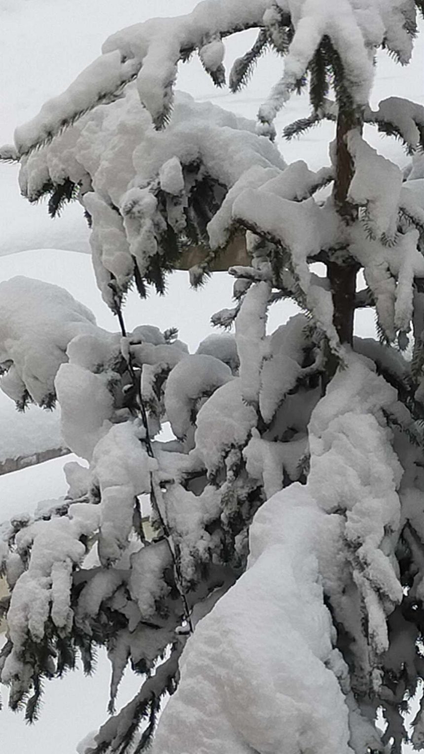 23 décembre 2024 – La neige s’invite pour les fêtes !